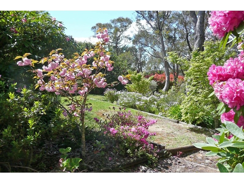 Wentworth Falls NSW 2782