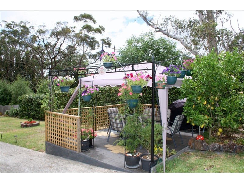 Wentworth Falls NSW 2782