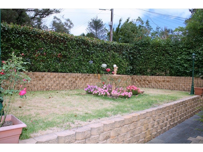 Wentworth Falls NSW 2782