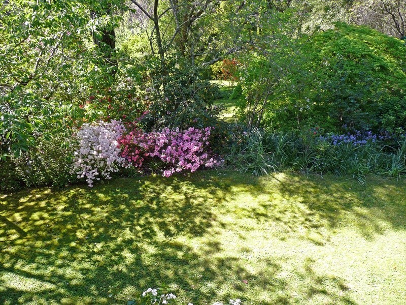 Wentworth Falls NSW 2782