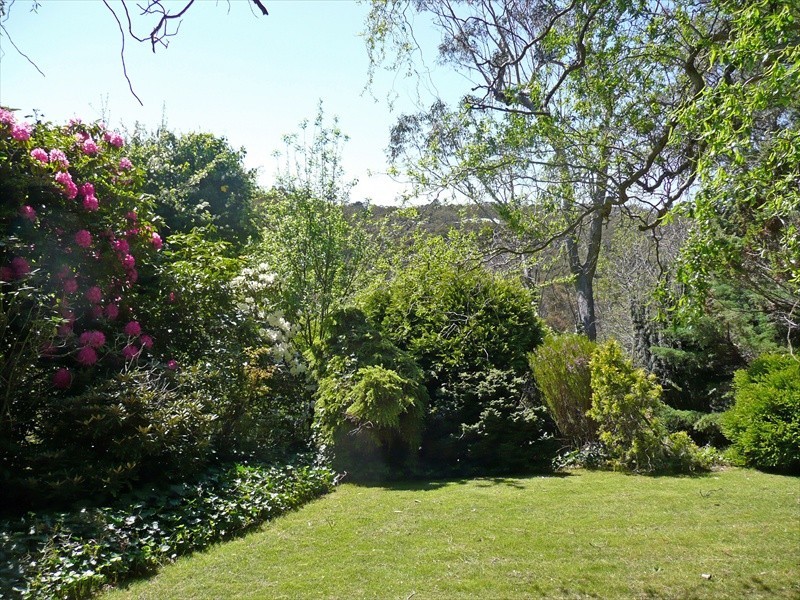 Wentworth Falls NSW 2782