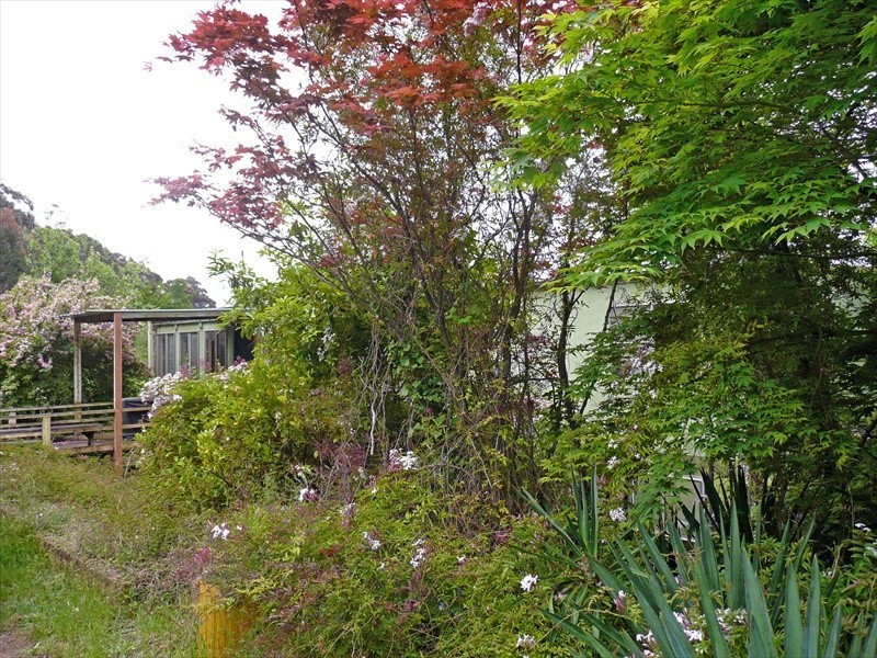 Bullaburra NSW 2784