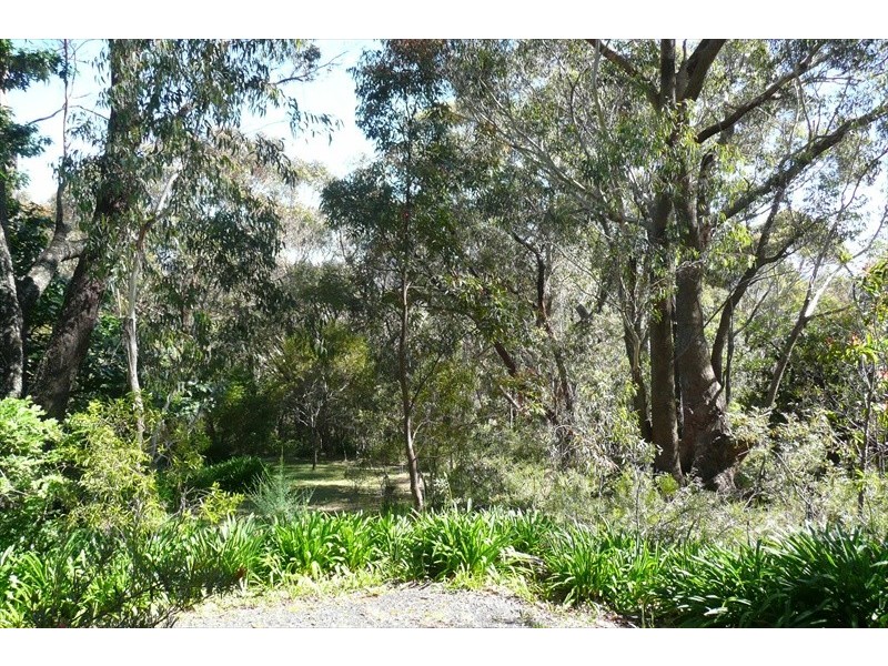 Wentworth Falls NSW 2782