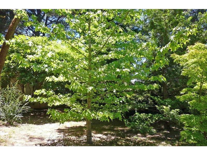 Wentworth Falls NSW 2782