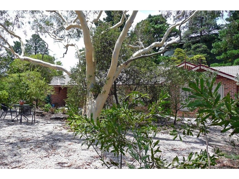 Wentworth Falls NSW 2782