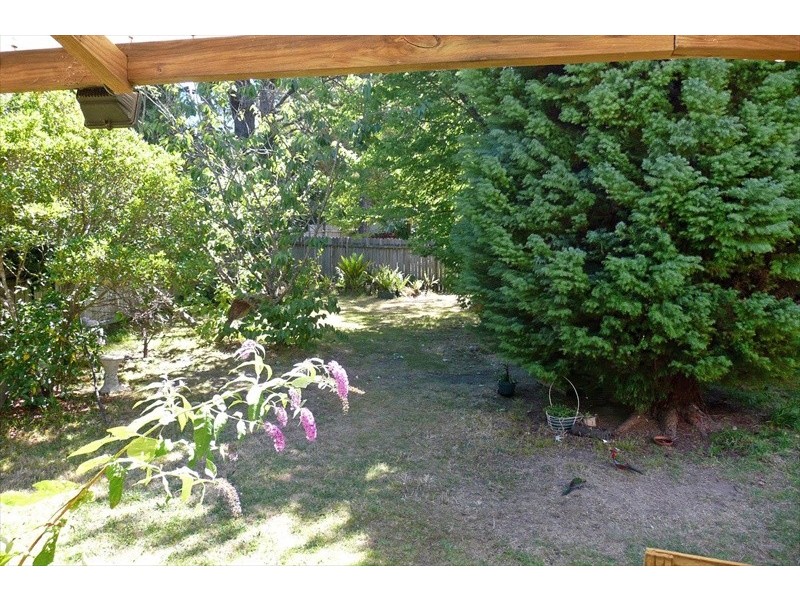 Wentworth Falls NSW 2782