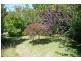 Wentworth Falls NSW 2782