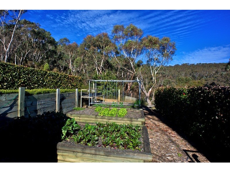 Wentworth Falls NSW 2782