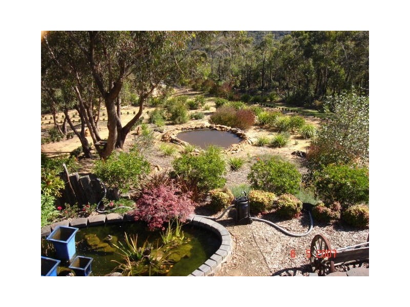 Wentworth Falls NSW 2782