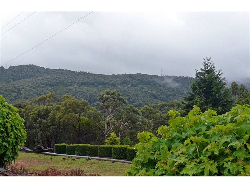 Wentworth Falls NSW 2782