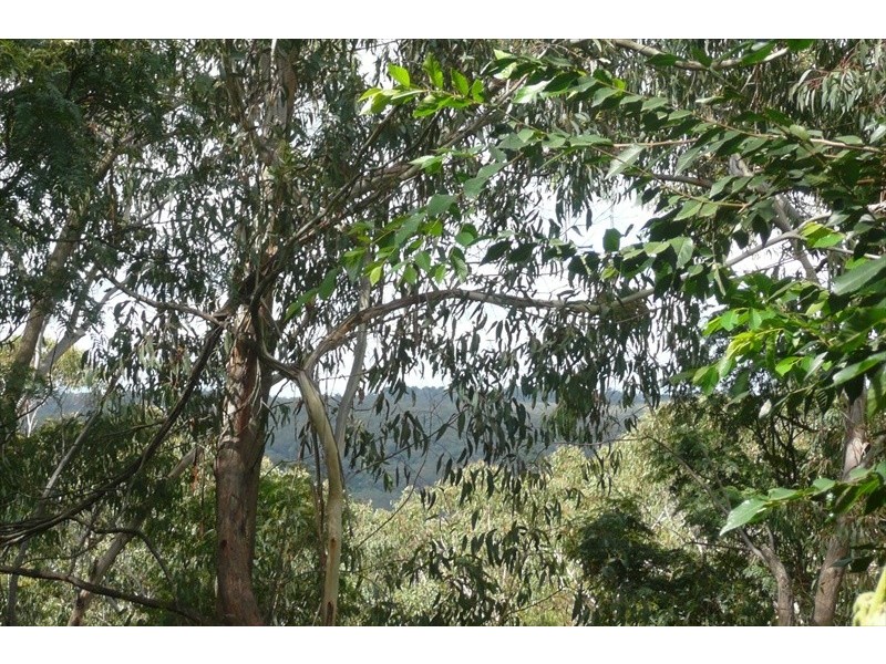 Wentworth Falls NSW 2782