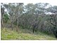 Wentworth Falls NSW 2782