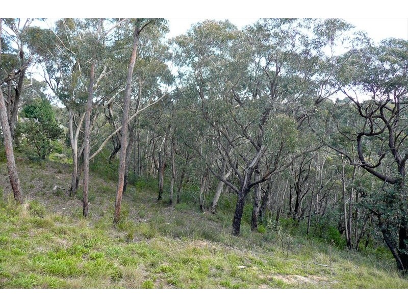 Wentworth Falls NSW 2782