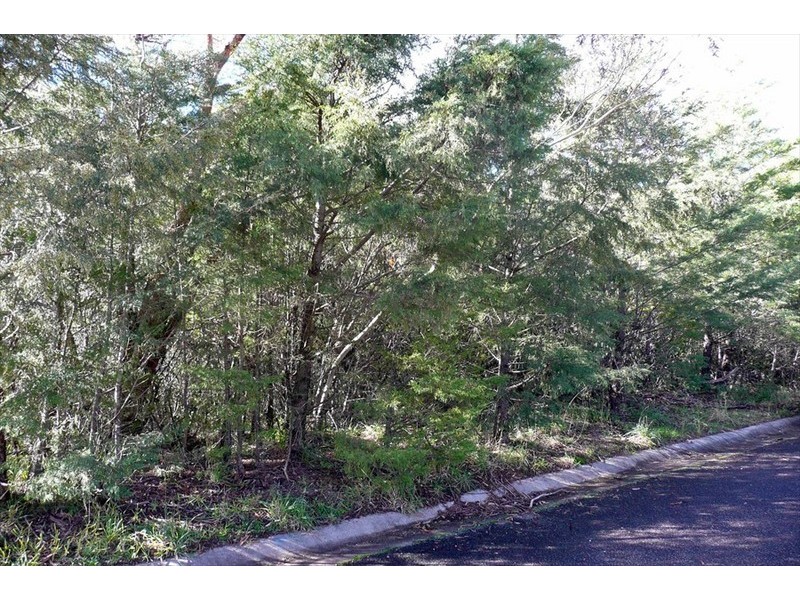 Wentworth Falls NSW 2782