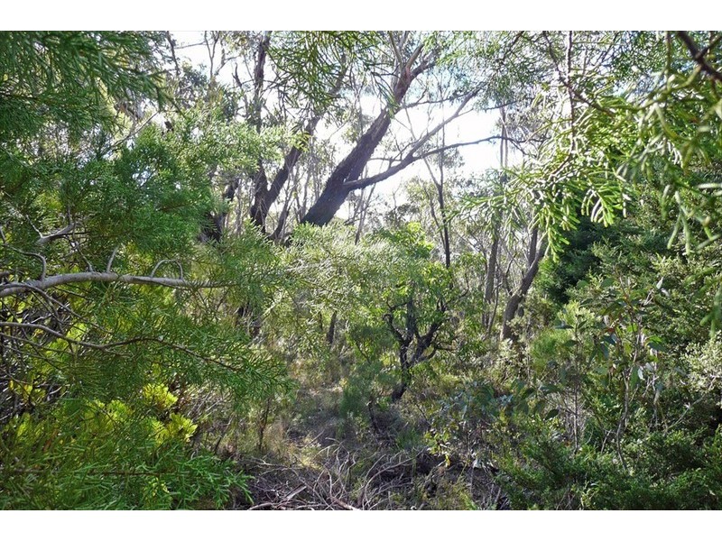 Wentworth Falls NSW 2782