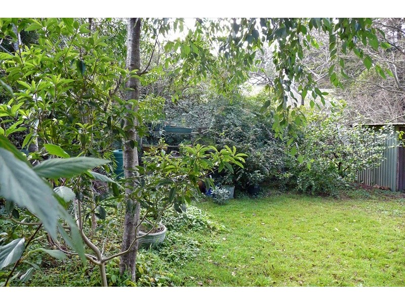 Wentworth Falls NSW 2782