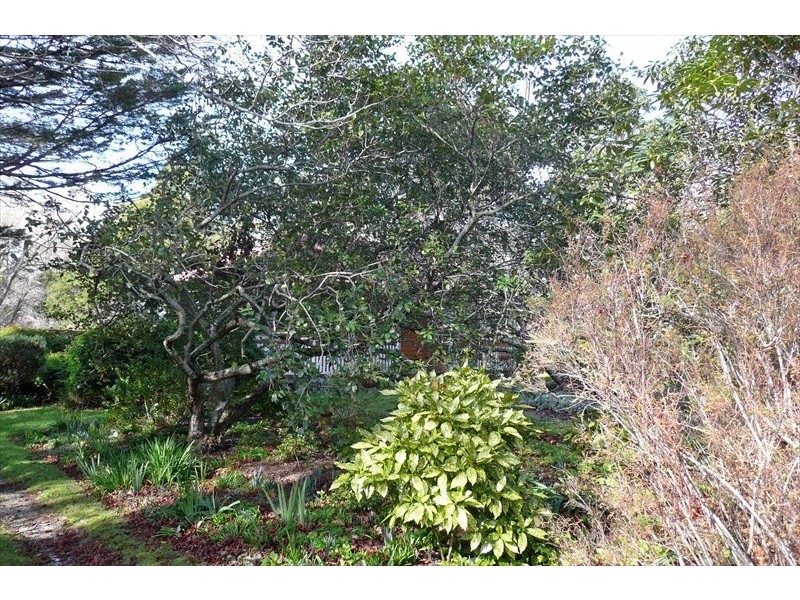 Wentworth Falls NSW 2782