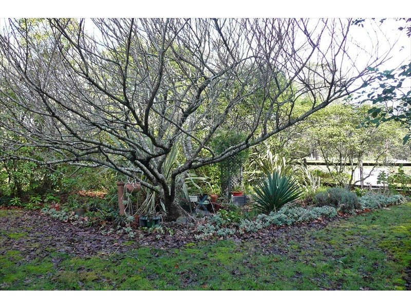 Wentworth Falls NSW 2782