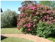 Wentworth Falls NSW 2782