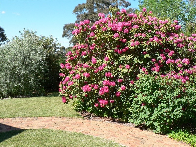 Wentworth Falls NSW 2782
