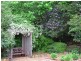 Wentworth Falls NSW 2782