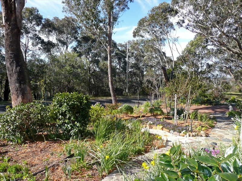 Wentworth Falls NSW 2782