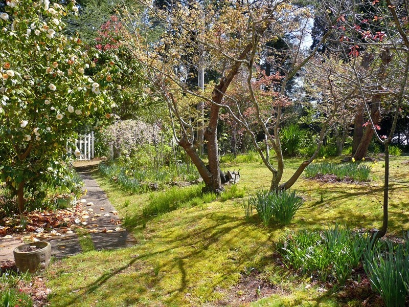 Wentworth Falls NSW 2782