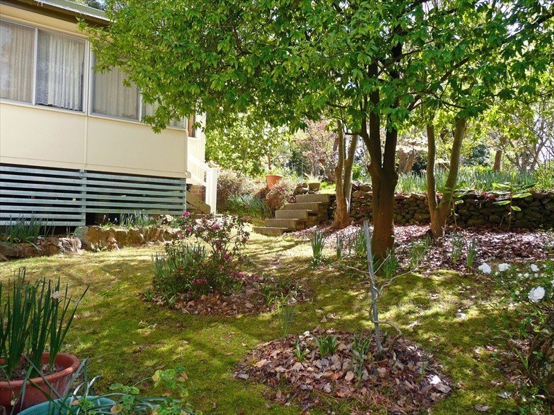 Wentworth Falls NSW 2782