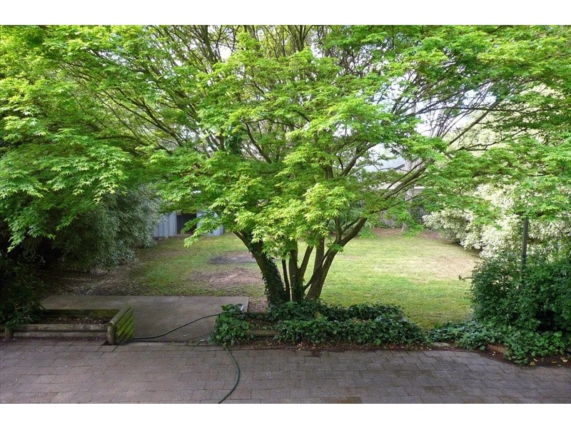 Wentworth Falls NSW 2782