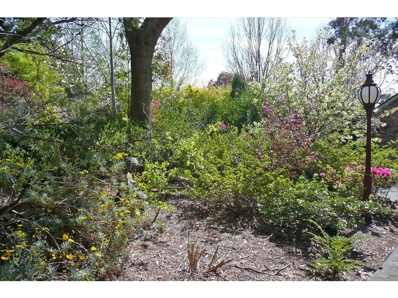 Wentworth Falls NSW 2782