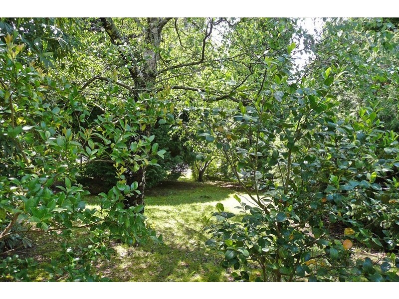 Wentworth Falls NSW 2782