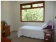 Wentworth Falls NSW 2782