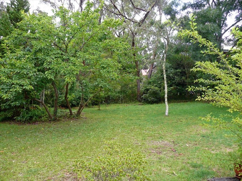 Wentworth Falls NSW 2782