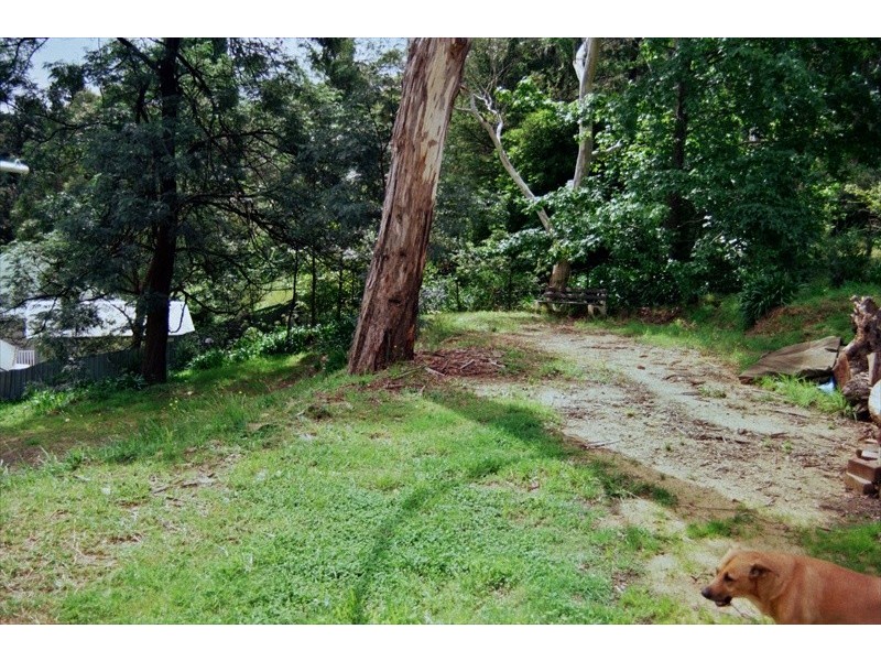 Wentworth Falls NSW 2782