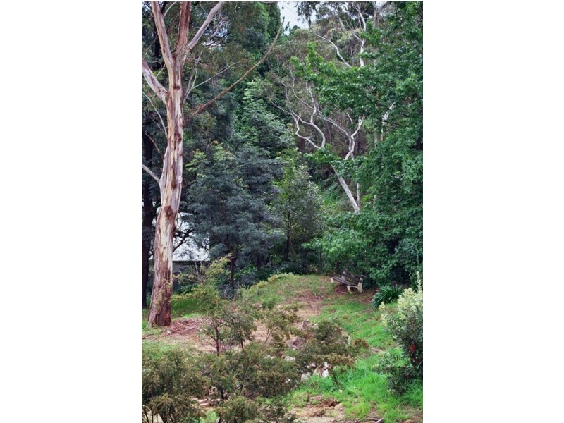 Wentworth Falls NSW 2782