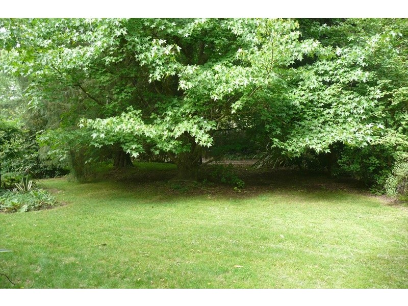 Wentworth Falls NSW 2782