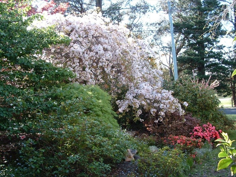 Wentworth Falls NSW 2782