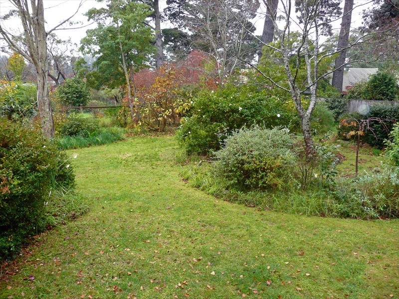 Wentworth Falls NSW 2782