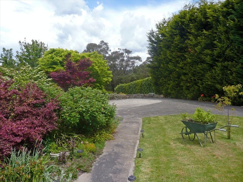 Wentworth Falls NSW 2782