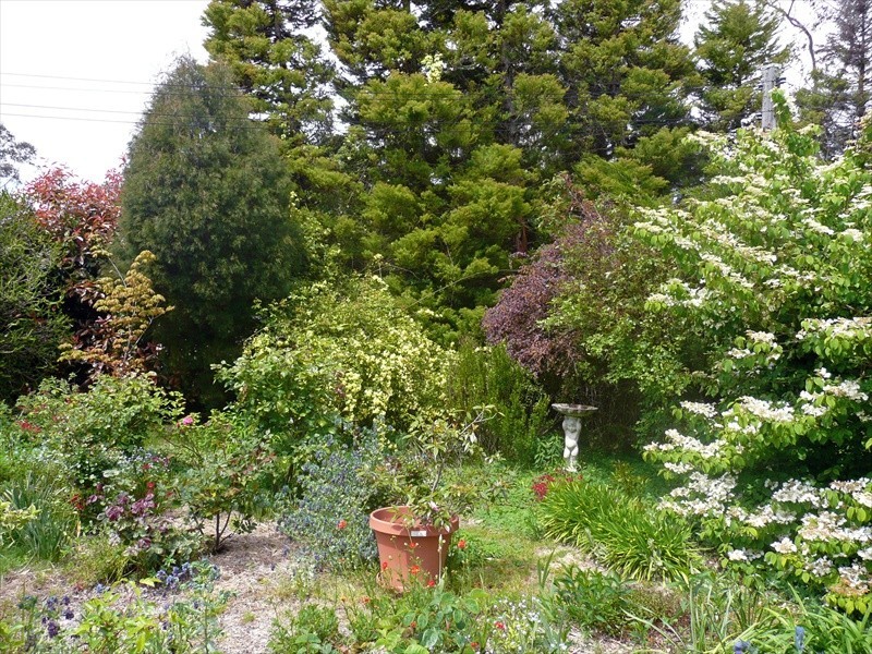 Wentworth Falls NSW 2782