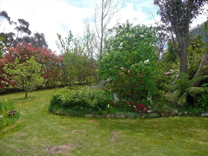 Wentworth Falls NSW 2782