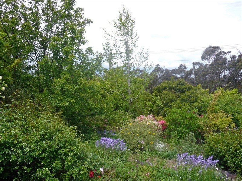 Wentworth Falls NSW 2782