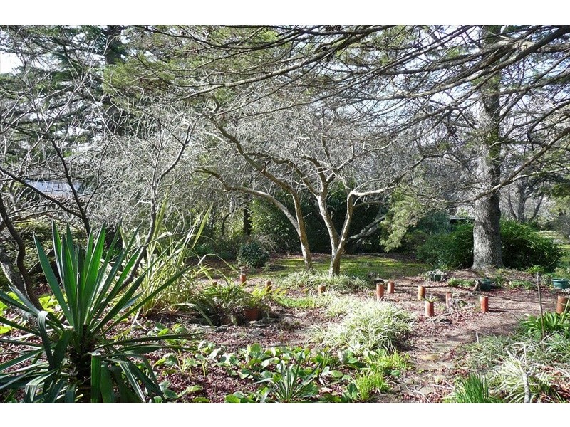 Wentworth Falls NSW 2782