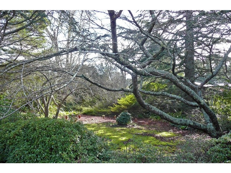 Wentworth Falls NSW 2782