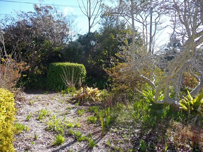 Lawson NSW 2783