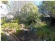 Lawson NSW 2783