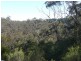 Wentworth Falls NSW 2782