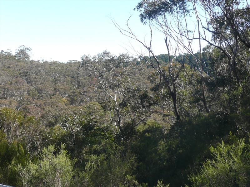 Wentworth Falls NSW 2782