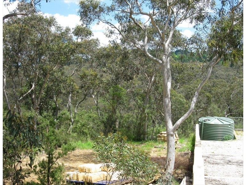 Wentworth Falls NSW 2782