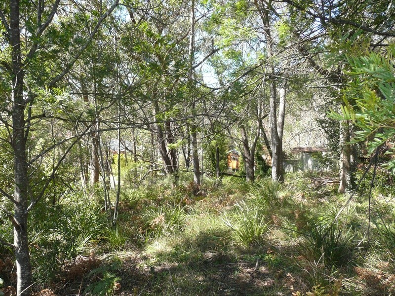 29 Edward Parade, Wentworth Falls NSW 2782